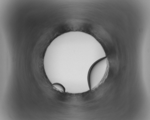 X0000113780865200910141036