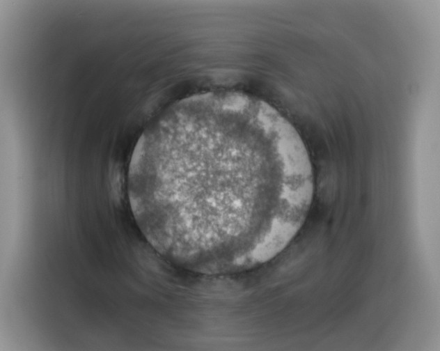 X0000113780866200910141036