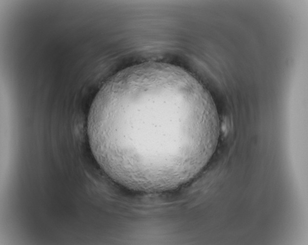 X0000113780867200910141036