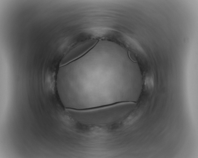 X0000113780868200910141036