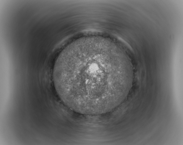 X0000113780870200910141036