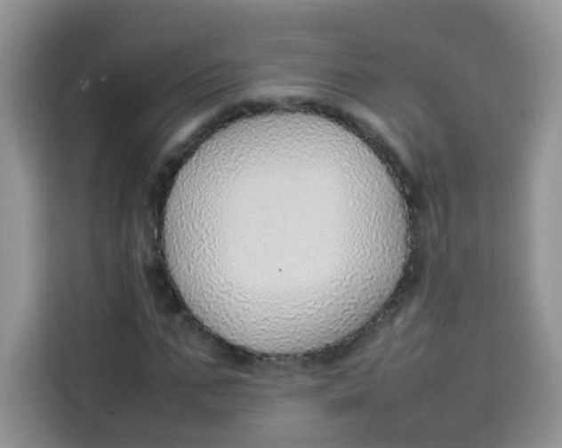 X0000113780871200910141036