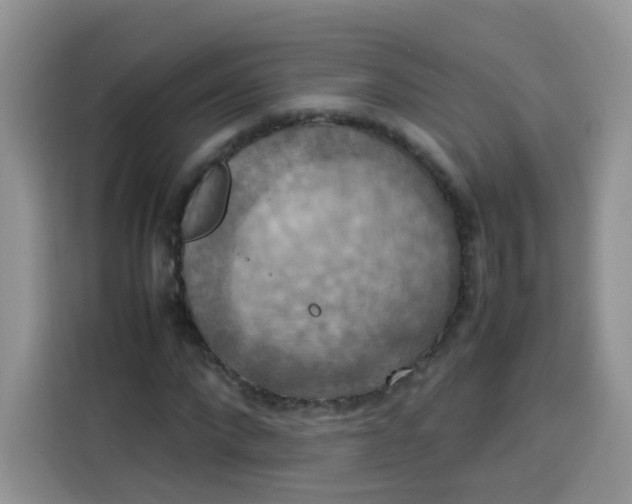 X0000113780872200910141036