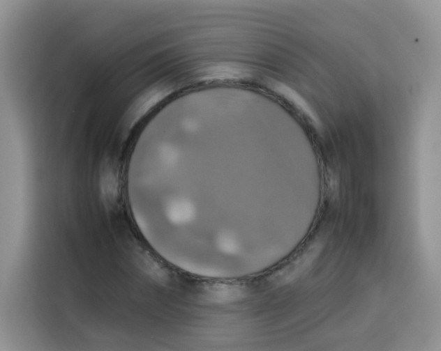 X0000113780874200910141036