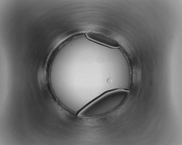 X0000113780876200910141036