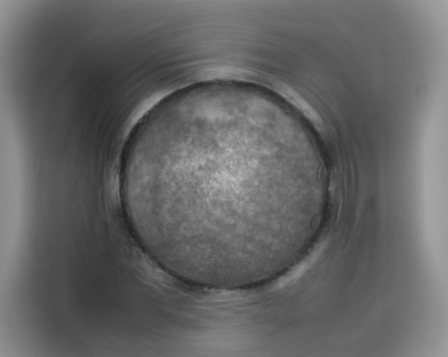 X0000113780877200910141036