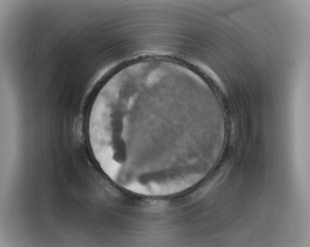 X0000113780878200910141036