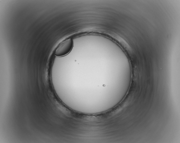 X0000113780880200910141036