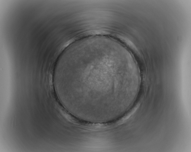 X0000113780881200910141036