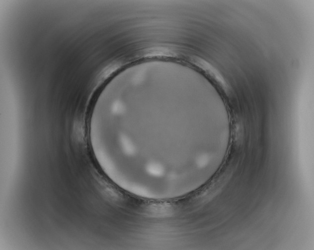 X0000113780882200910141036