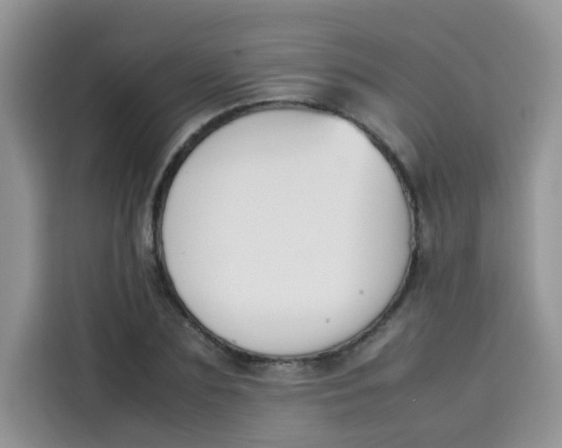 X0000113780883200910141036