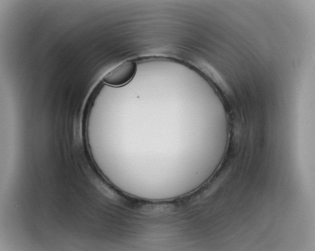 X0000113780884200910141036