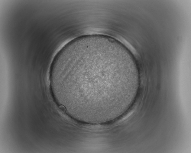 X0000113780885200910141036