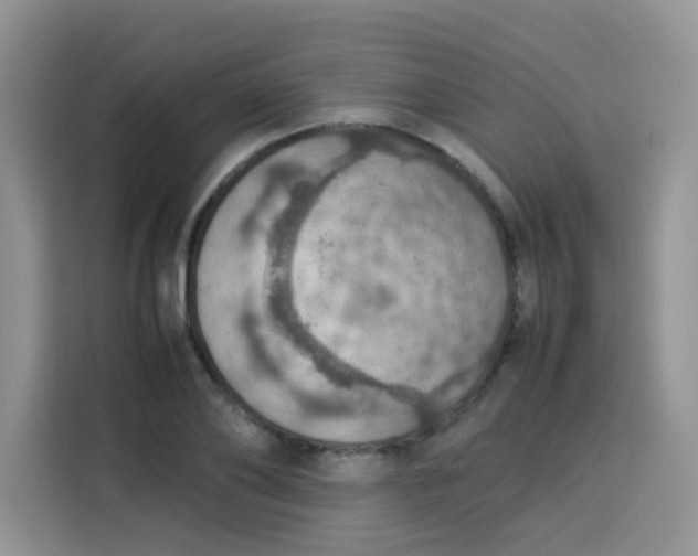 X0000113780886200910141036