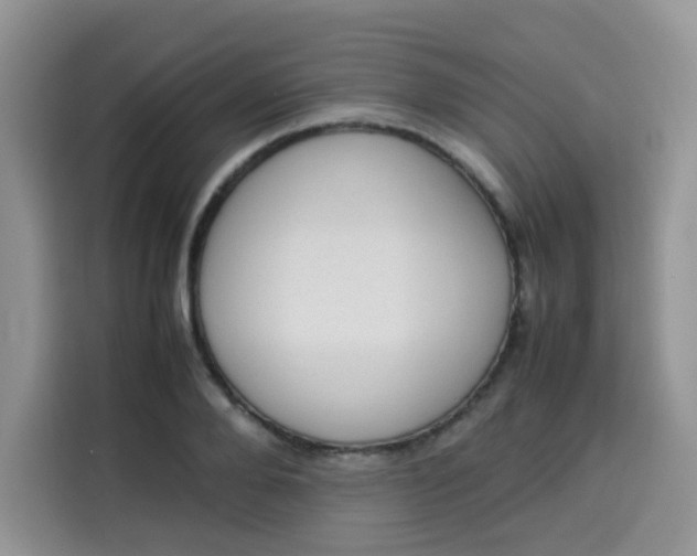 X0000113780888200910141036