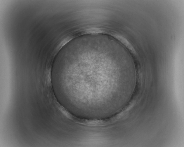 X0000113780889200910141036