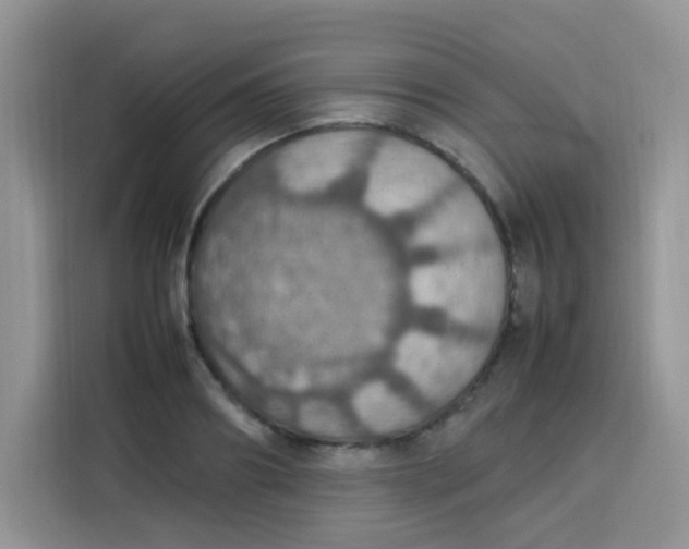 X0000113780890200910141036