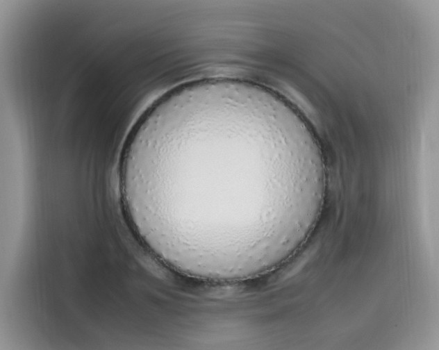 X0000113780891200910141036