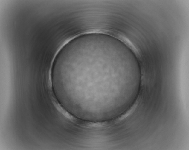 X0000113780892200910141036