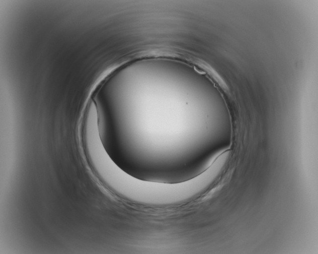 X0000113780893200910141036