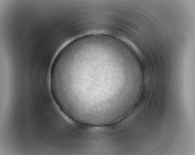 X0000113780894200910141036