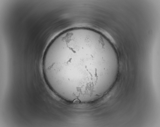 X0000113780895200910141036