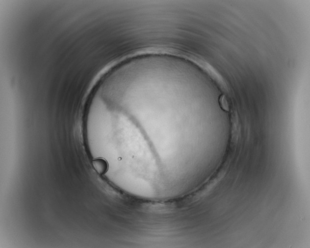 X0000113780896200910141036