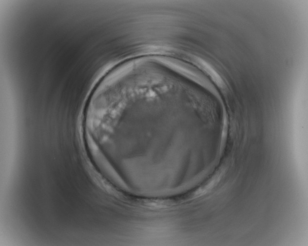 X0000113780899200910141036