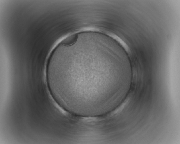 X0000113780902200910141036