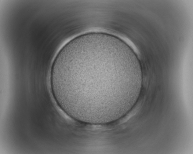 X0000113780903200910141036