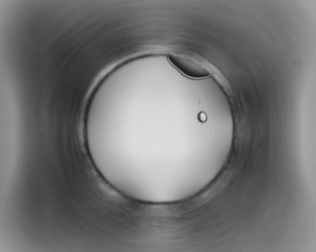 X0000113780904200910141036