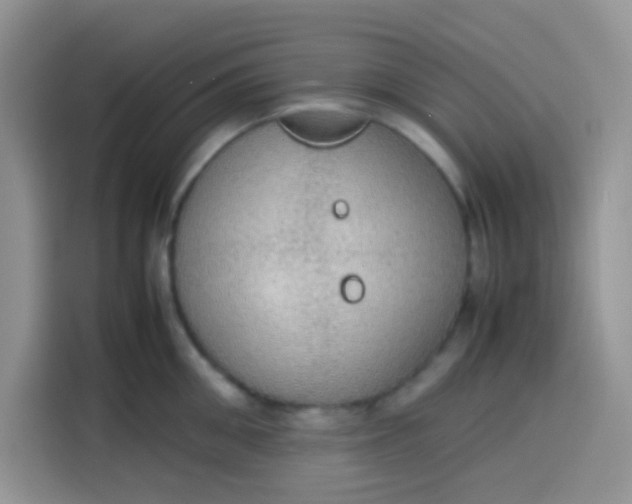 X0000113780906200910141036