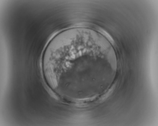 X0000113780907200910141036