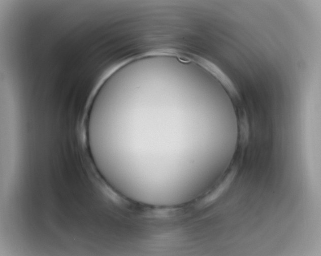 X0000113780908200910141036