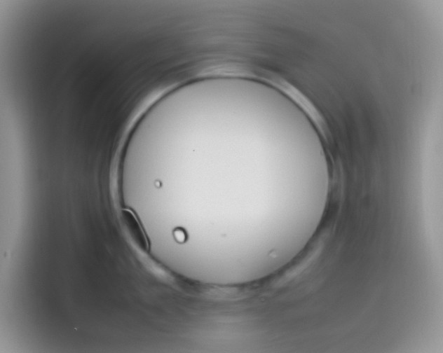 X0000113780909200910141036