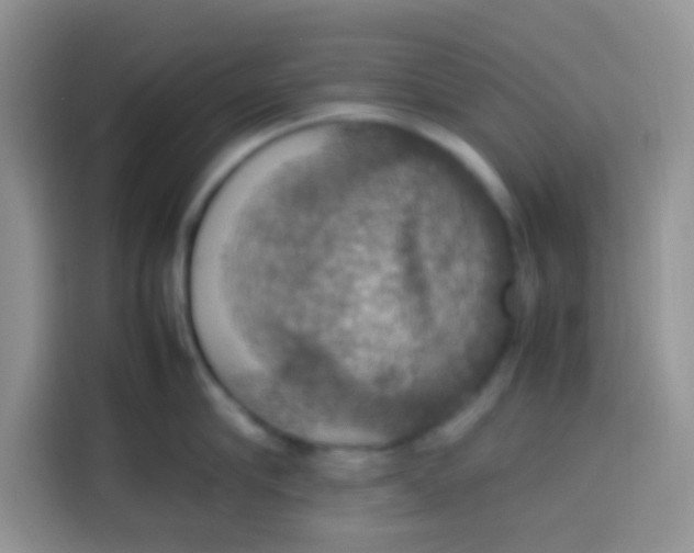 X0000113780910200910141036