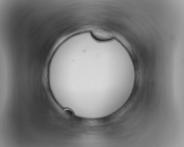 X0000113780911200910141036