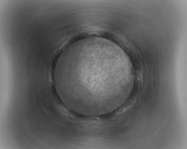 X0000113780916200910141035