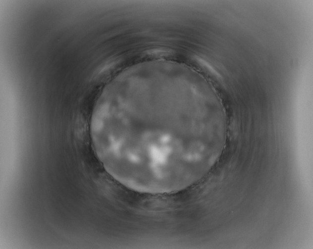 X0000113780917200910141035