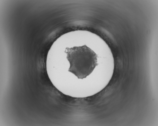 X0000113780918200910141035