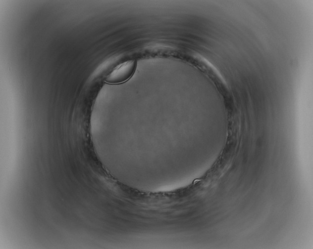 X0000113780919200910141035