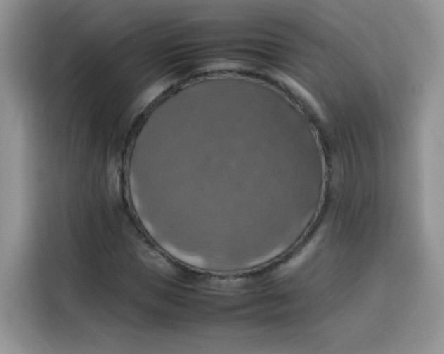 X0000113780921200910141035