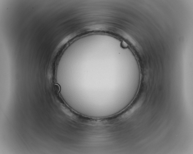 X0000113780922200910141035