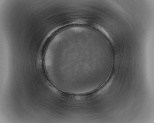 X0000113780923200910141035