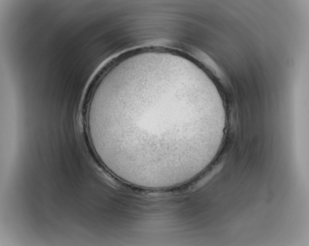 X0000113780924200910141035