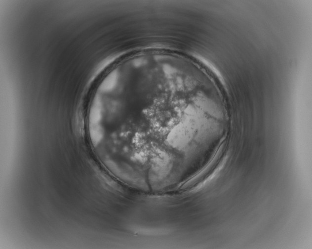 X0000113780925200910141035