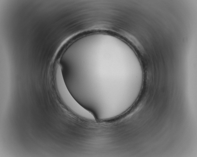 X0000113780926200910141035