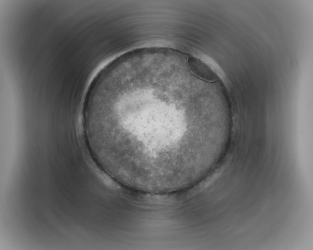 X0000113780928200910141035