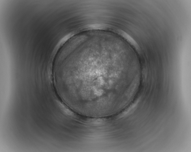 X0000113780930200910141035