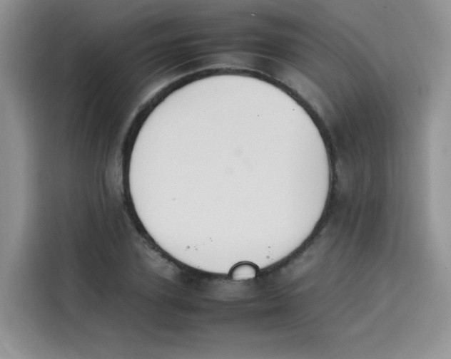 X0000113780931200910141035